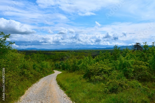Gravel road leading downhill with Kras plateau in the background with white clouds and blue sky in Primorska, Slovenia