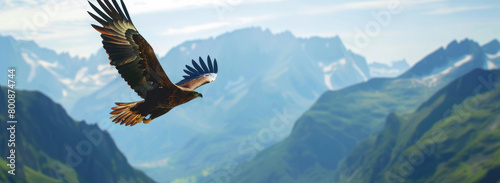 Bald eagle flying over green mountains, alps in the background, blue sky