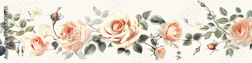 Vintage rose wave illustration, nostalgic and soft vintage rose wave on a white backdrop.