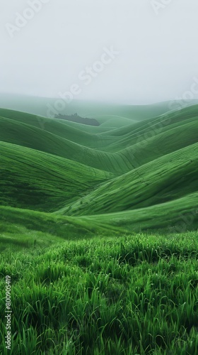 Green rolling hills in the countryside