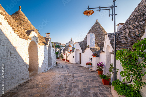 view of Alberobello, Puglia, Italy