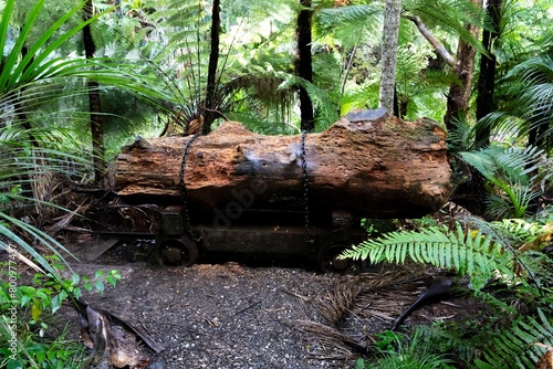 Historic logging artefact that holds trees to pull them out of the forest. Karamatura Falls Track, Waitakere, Auckland, New Zealand.