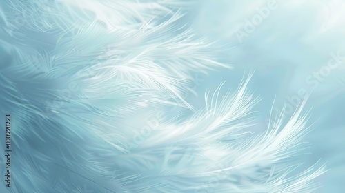 fondo azul . primer plano de pluma de ave