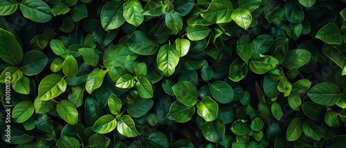 Vibrant Green Leaves Texture Background for Eco-Friendly Concepts