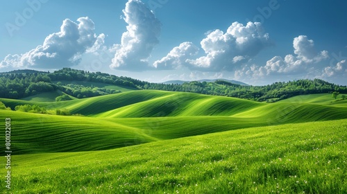 Beautiful green grassy hills under blue sky with white clouds. Landscape background. Serene Green Hills