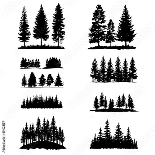 Nature's Embrace Pine Grove Silhouettes