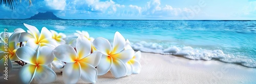 Beautiful beach view with bunch of flowers on the sand. The flowers are yellow and white.