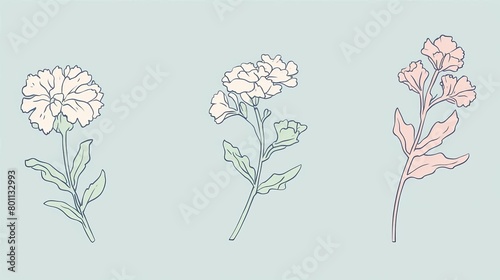 Minimal floral arrangement, three flowers