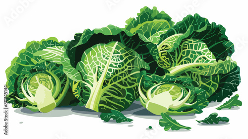 Heap of cut savoy cabbage on white background Vector