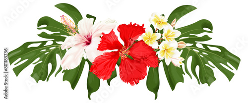 Tropical bouquet with hibiscus flower, plumeria and monstera leaves. Stock vector illustration on a white background.