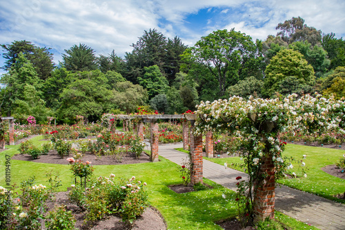the view of rose garden in queens park, a park in Invercargill, New Zealand, and was part of the original plan when Invercargill was founded in 1856. 