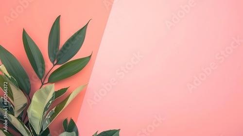 tropical green leaves twig on pink paper beautiful simplicity boho peaceful spring feeling, abstract background commercial advertisement style with blank copy space, Generative Ai