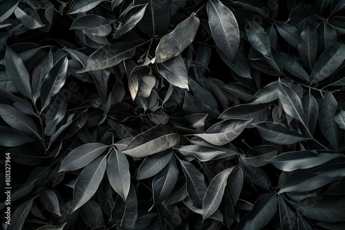 Dark Monochromatic Foliage Texture - Natural Leaf Patterns