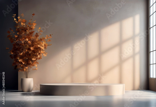 'product backgroundConcrete splay Autumn Cement Room backgroundEmpty sunlight Studio wall Leaves shadow beige PodiumBackdrop Fall poduim light floor concrete'