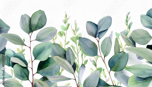 watercolor botanic leaf and buds seamless herbal composition for wedding or greeting card spring border with leaves eucalyptus