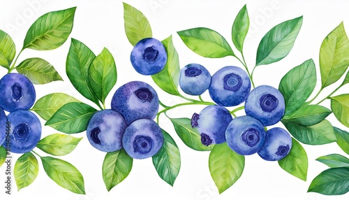 watercolor illustration painting of blueberry branches with leaves isolated on white background seamless pattern