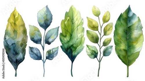 Watercolor branch wall art set. Hand painted tropical botanical foliage background. Illustration for home decoration, posters, wallpaper, banners, etc.