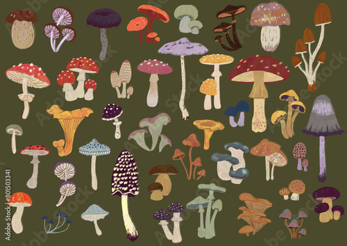 Set of natural illustrations with multi-colored mushrooms to create a design for a pattern, postcard, invitation. Autumn collection of plant icons