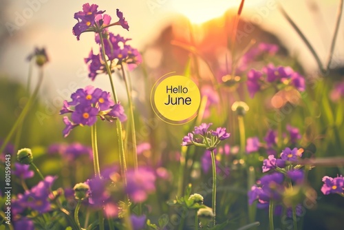 spring meadow with purple flowers, yellow circle and text inside the circle says "Hello June", golden hour Generative AI