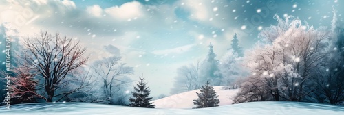 snowy landscape trees snowflakes panoramic view anomalous object large patches plain colors color cartoon reduced visibility