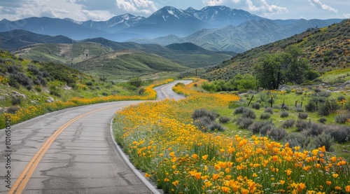 Picturesque road winding through a valley of blooming wildflowers, with mountains towering in the distance and the sweet scent of spring in the air.