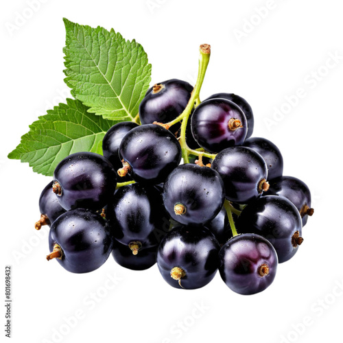 Blackcurrant black currant cassis isolated on transparent background