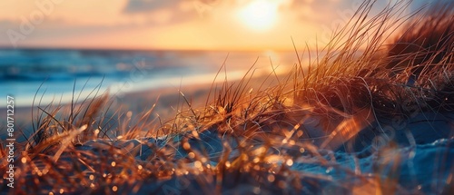 Golden Hour Sunset on Sandy Beach with Silky Grass and Ocean Background