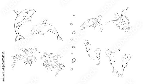 Outlines of beautiful marine life.