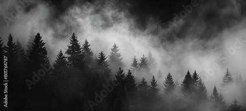 Misty fir forest beautiful landscape in hipster vintage retro style, foggy mountains and trees. 