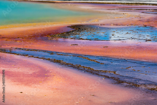 A close up shot of the Grand Prismatic Spring in Yellowstone National Park.