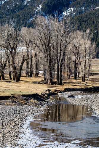 A scenic view in the Lamar Valley at Yellowstone National Park.