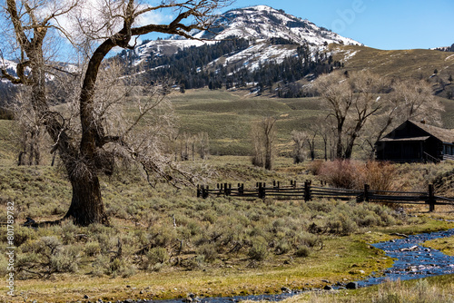 A scenic view in the Lamar Valley in Yellowstone National Park.