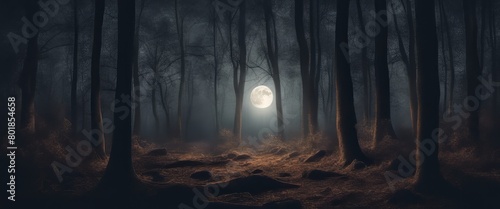 full moon in dark woods at night, fantasy forest panorama