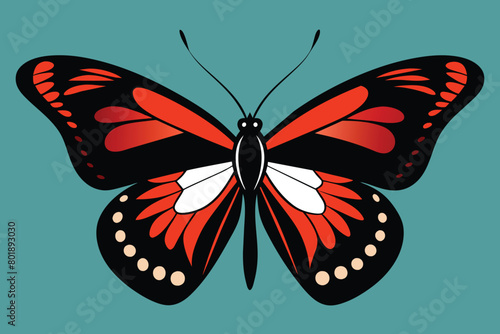 Solid color Admiral Butterfly vector design