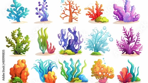 Coral, seaweed, aquarium algae on white background. Cartoon modern illustration of ocean reef life and coral.