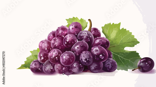 Fresh ripe grapes on white background Vectot style vector