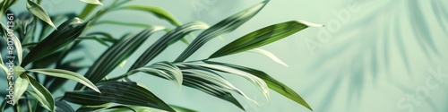 Detailed view of vibrant green leaves on a plant, showcasing textures and patterns, banner, copy space