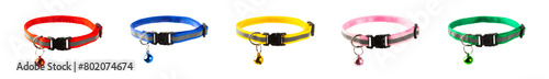 Pet supplies. Collar for a cat or dog with a bell isolated on a white background. Bright colored collar. Accessories for pets.
