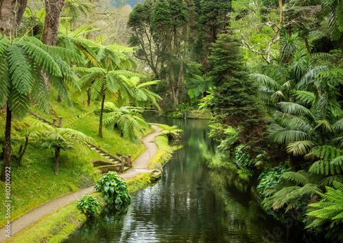 Lush vegetation and colorful plants of Terra Nostra botanical garden in Furnas, Azores