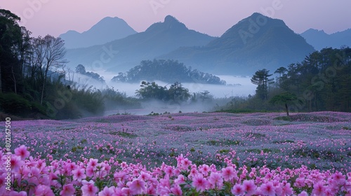 A field of pink flowers with a mountain range in the background.