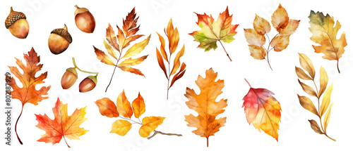 Draw vector illustration collection autumn leaves For fall autumn season concept Watercolor style