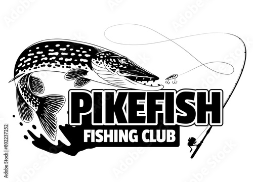 Vintage Pike Fish Fishing Club Logo Illustration