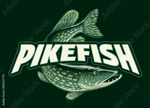 Vintage Pike Fish Illustration Design