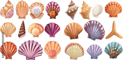 Mollusks spiral shells aquarium or underwater wildlife, colorful conch neat vector illustration