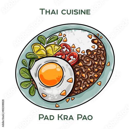 Traditional Thai food. Pad Kra Pao on white background. Isolated vector illustration.