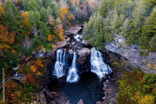 Aerial view of Blackwater Falls in a forest, Davis, West Virginia, United States