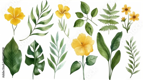 Collection of Various Tropical Plants and Flowers Illustration, Detailed Botanical Artwork.