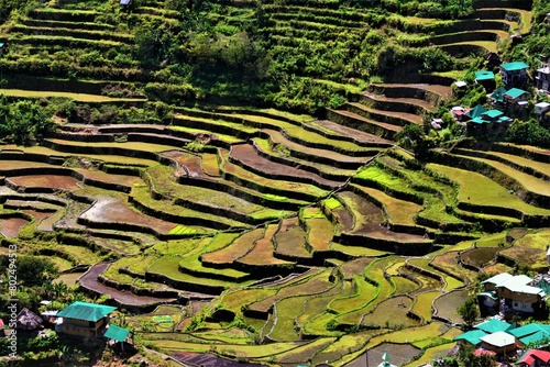 The Batad Rice Terraces of the Philippine Cordilleras - UNESCO World Heritage Site on the island of Luzon in the Philippines (Ifugao Province)
