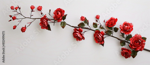 A single branch of vibrant red roses arranged vertically against a pristine white backdrop, each bloom adding a touch of elegance and captured in stunning 32k resolution.