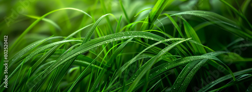 Green grass background. Generative AI.